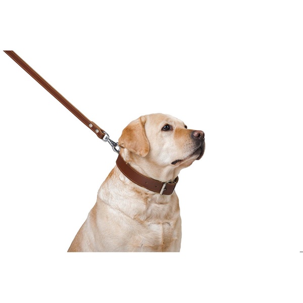 Повідець для собак шкіряний подвійний прошитий Collar, XS, коричневий 04526 фото