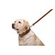 Повідець для собак шкіряний подвійний прошитий Collar, XS, коричневий 04526 фото 5