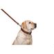 Повідець для собак шкіряний подвійний прошитий Collar, XS, коричневий 04526 фото 4