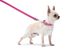 Повідець для собак шкіряний Waudog, XS, рожевий 08137 фото 5