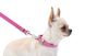 Повідець для собак шкіряний Waudog, XS, рожевий 08137 фото 3