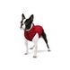 Курточка для собак Супермен червоний Waudog, XS 22 0922-4007 фото 3