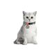 Нашийник для котів нейлоновий WAUDOG Nylon з QR паспортом, малюнок "Colors of freedom", пластиковий фастекс, XS, Ш 10 мм, Дов 20-30 см 5210-4020 фото 3