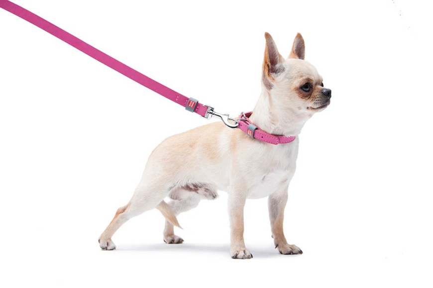 Повідець для собак шкіряний Waudog, XS, рожевий 08137 фото