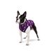 Курточка для собак WAUDOG Clothes с рисунком "Чудо-женщина фиолет", XS22, В 33-36 см, С 19-22 см 0922-4008 фото 3