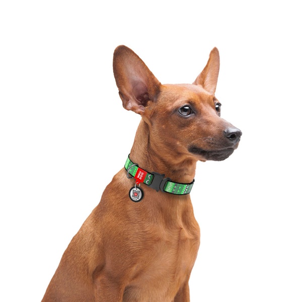 Нашийник для собак з QR паспортом Етно зелений, металевий фастекс Waudog, S 5191 фото