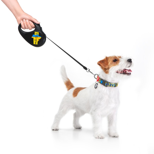 Повідець-рулетка для собак зі світловідбиваючою стрічкою Дім Waudog, XS, чорний 8123-0230-01 фото